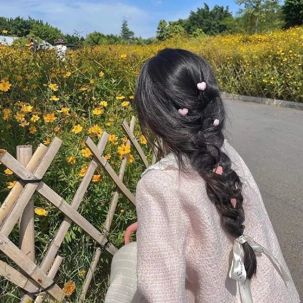 二凤