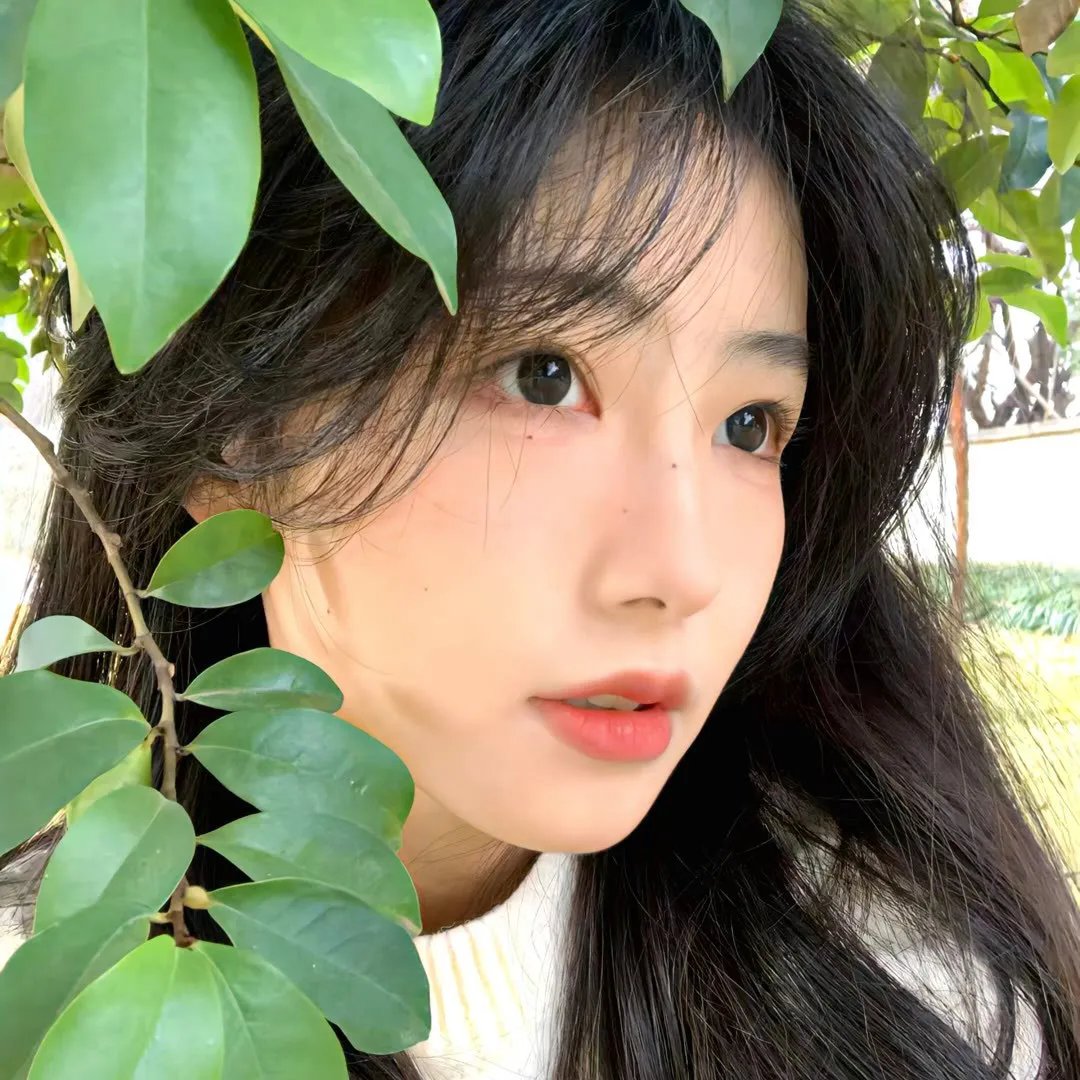 南来北往